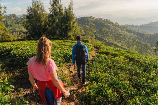 Trekking in Ella Hill Country